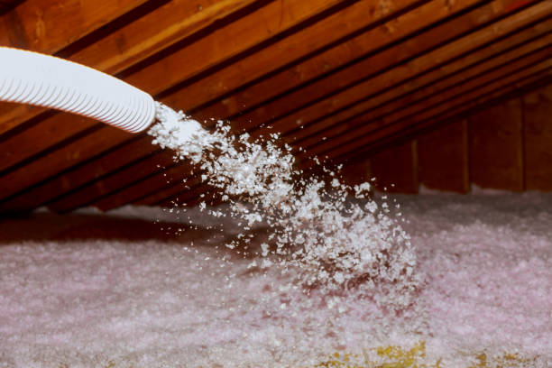 Types of Insulation We Offer in Laguna Vista, TX