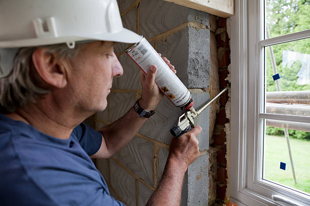 Best Residential Insulation in Laguna Vista, TX