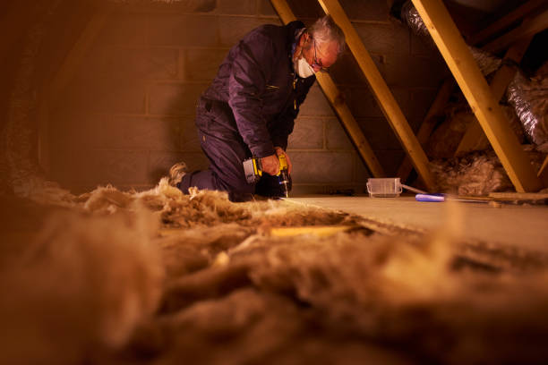 Best Commercial Insulation in Laguna Vista, TX
